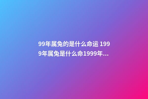 99年属兔的是什么命运 1999年属兔是什么命1999年属兔人一生命运-第1张-观点-玄机派